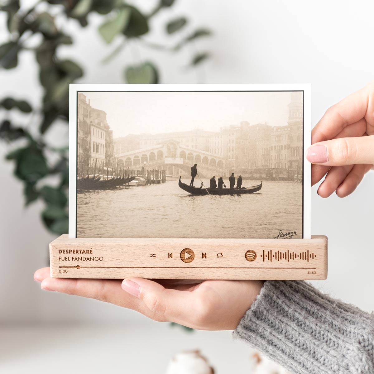 BASE_FOTOS_CANCION-kuko-studio-mediana4