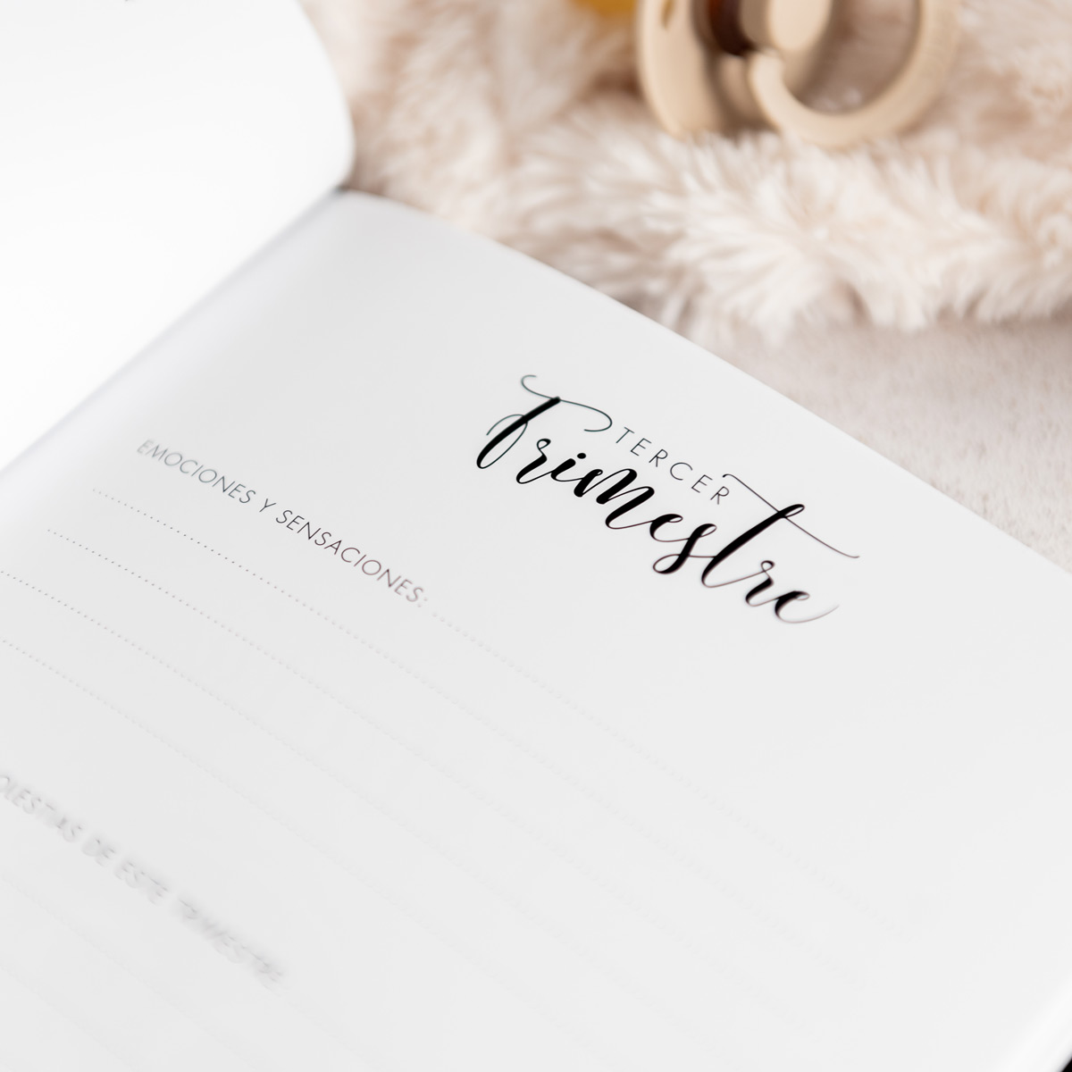 kuko-studio-libro-embarazo-esp-26-1200